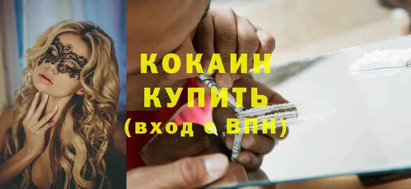 закладки  MEGA онион  Cocaine Эквадор  Кашин 